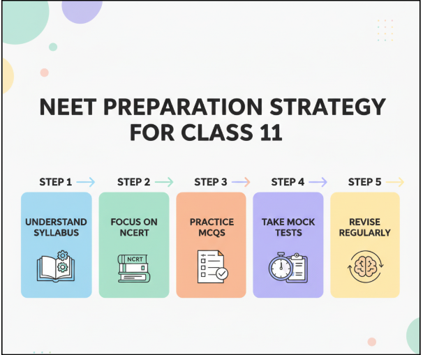 NEET Aspirant, Class 11